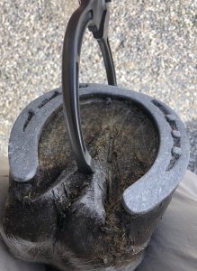 What is a flexion test?